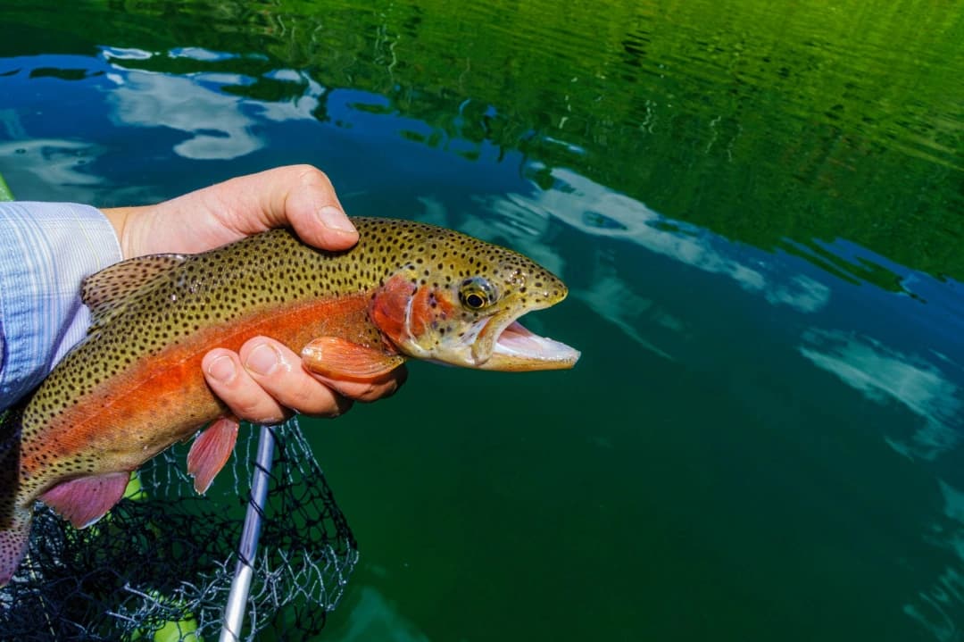 Catch at Teter Creek Lake